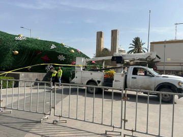 Ráfagas de viento derriban pino en la Plaza Principal de Reynosa