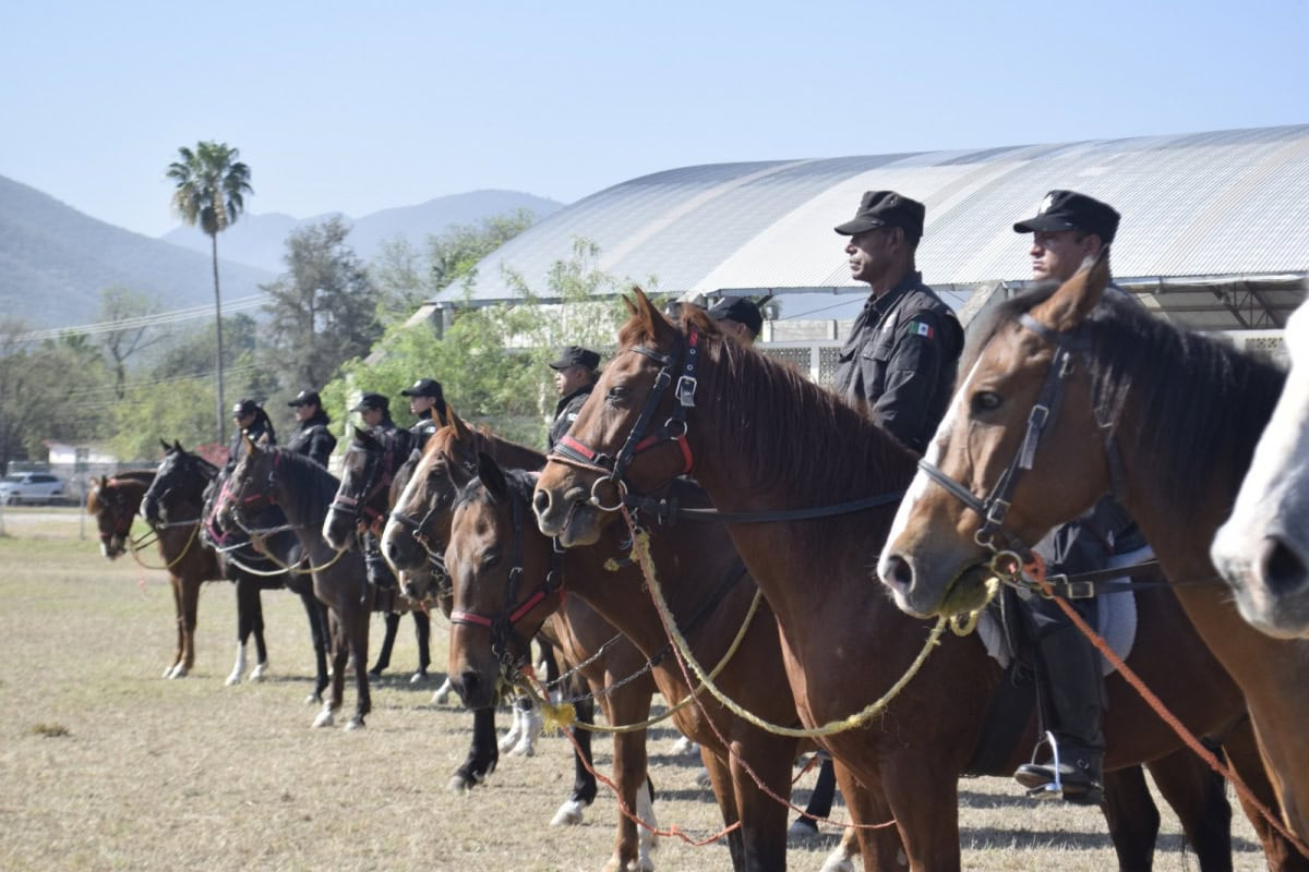 Con Agrupamiento Montado de la Guardia Estatal, SSPT refuerza seguridad en áreas rurales y naturales