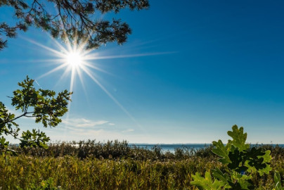 ¡Porfin viernes! Conoce el clima para el día de hoy en Tamaulipas