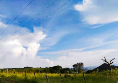 Conoce el pronóstico del tiempo para este domingo en Tamaulipas