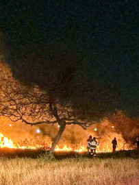 Bomberos sofocan incendio de pastizal en el bulevar Hidalgo