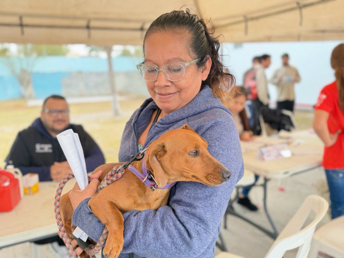Presentó Maki iniciativa para Día Nacional de Adopción Responsable de Animales de Compañía