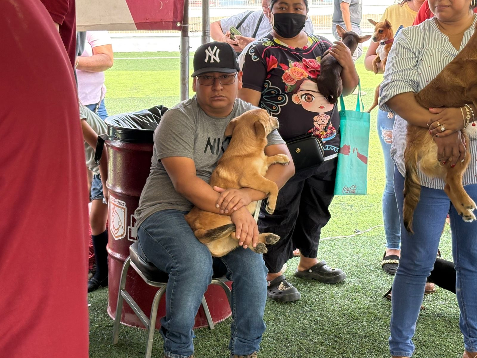 Exitosa jornada de bienestar animal en el programa "Presidencia Cerca de Ti"