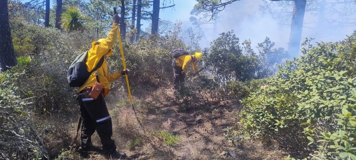 Avanza al 70 % el control del incendio forestal “Puerto del Volcán” en Miquihuana