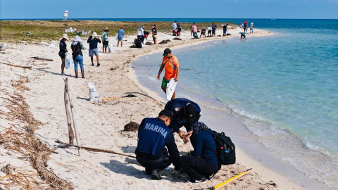 Grupo Interinstitucional refuerza acciones por presencia de hidrocarburos en costas del Golfo