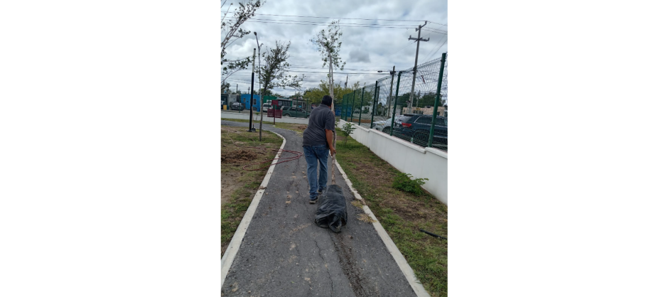 Gobierno Municipal fortalece áreas verdes con jornada de reforestación en distintos sectores de la ciudad