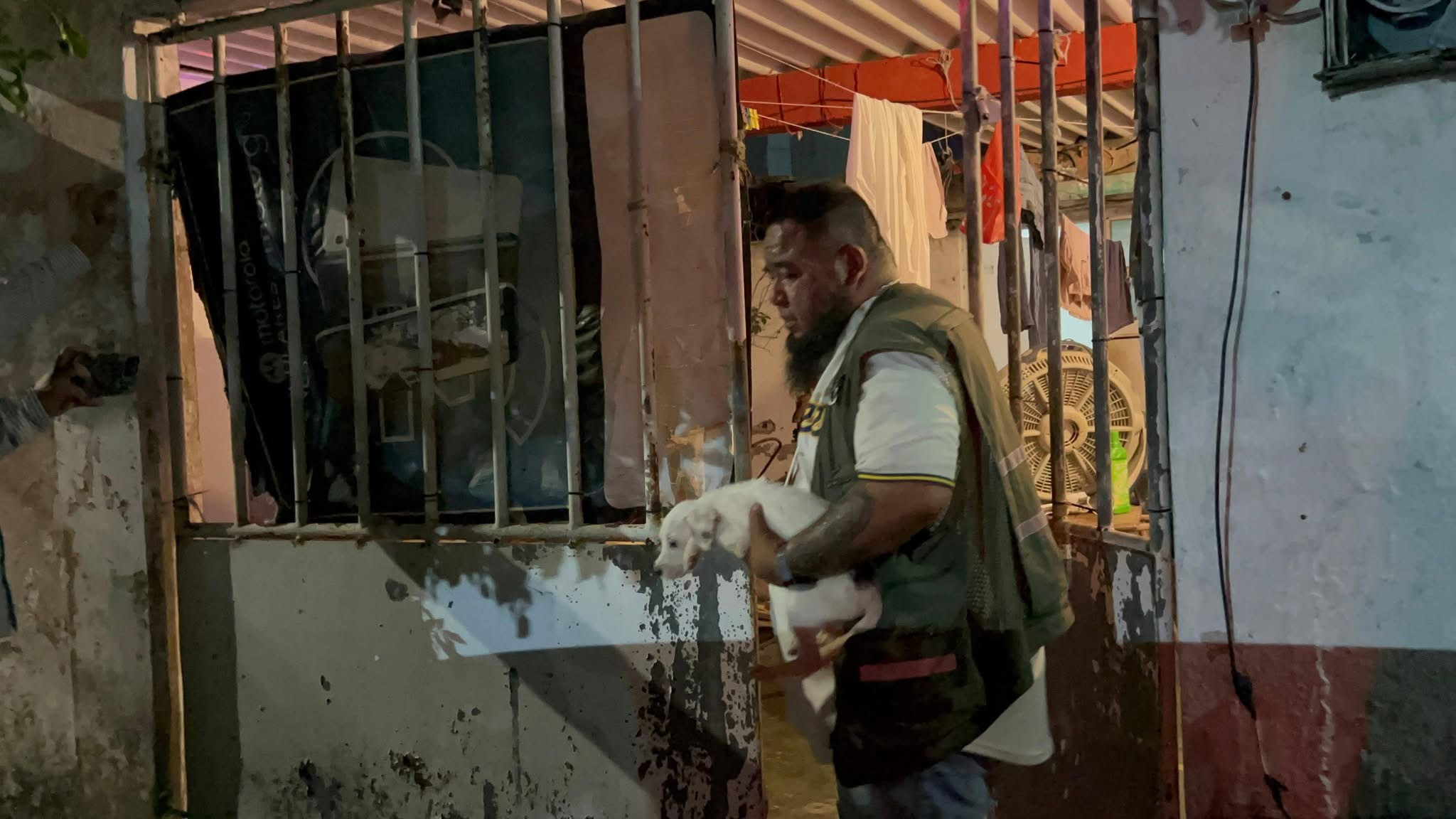 Rescatan a 42 perros en condiciones de maltrato en Coatzacoalcos, Veracruz