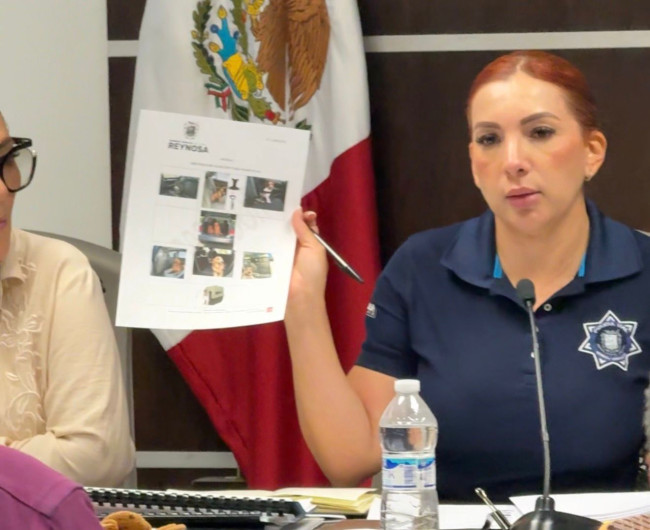 Van por multas de más de mil pesos: mascotas en vehículos representan riesgo vial, advierte Tránsito