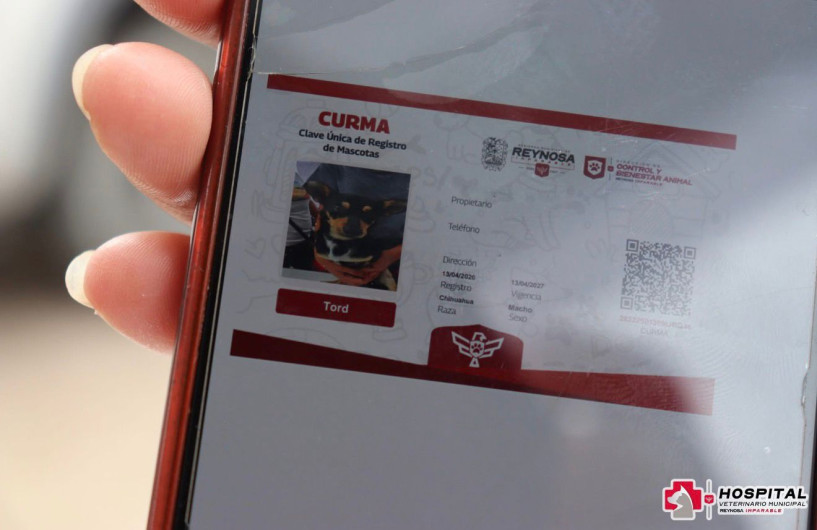 Impulsan CURMA para identificar mascotas y facilitar su localización