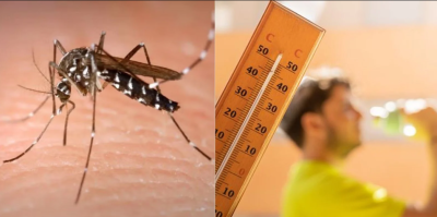 Tamaulipas registra casos de golpe de calor y dengue