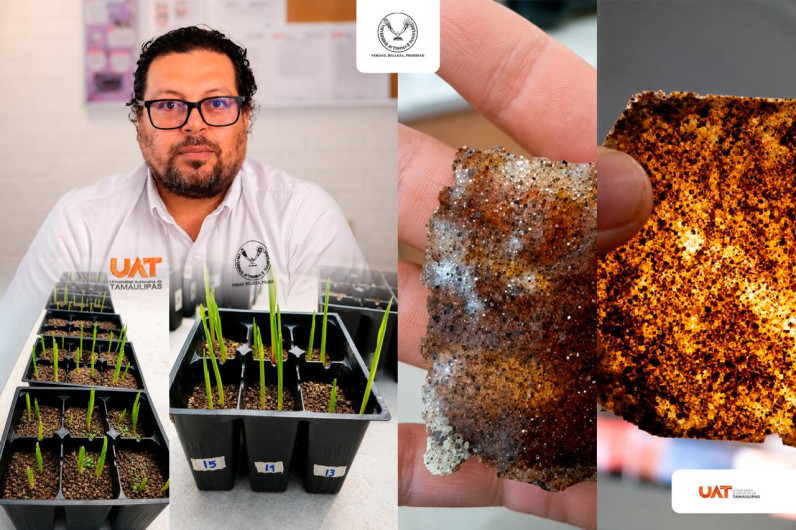 Patenta la UAT bioplásticos que recuperan suelos erosionados