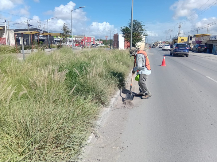 Realizó Gobierno de Reynosa Jornada de Limpieza en la avenida Rodolfo Garza