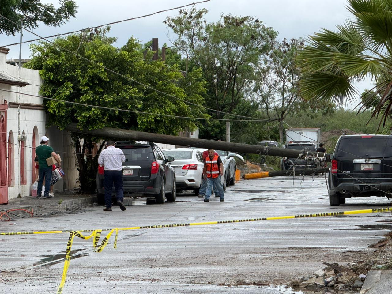 Caída de tres postes daña vehículos y genera preocupación en la colonia Revolución Verde