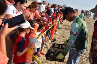 Niñas y niños viven experiencia ambiental con liberación de tortugas lora