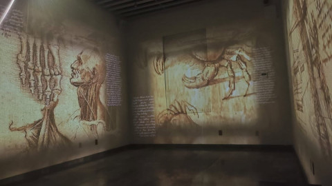 Tampico recibirá exposición inmersiva sobre Leonardo da Vinci