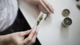 Cofepris acatará resolución de la SCJN sobre permisos para autoconsumo de cannabis