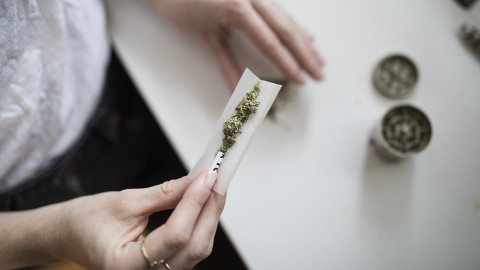 Cofepris acatará resolución de la SCJN sobre permisos para autoconsumo de cannabis