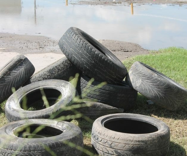 Reforzarán programa patio limpio ante sospecha de casos de dengue en Tampico 