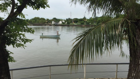 Necesario proyecto de dragado en laguna de Champayán