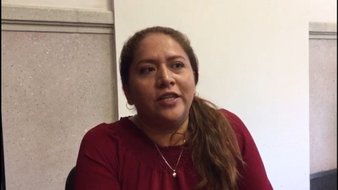 Esta semana comenzará Tránsito a usar inmovilizadores