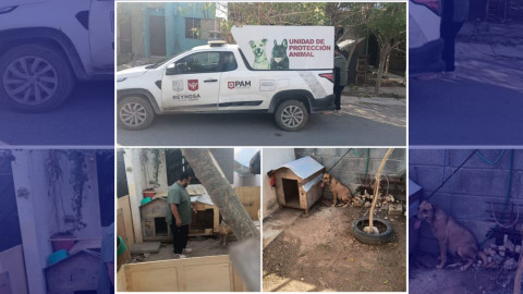 Agradece Carlos Peña Ortiz participación ciudadana en el resguardo de animales 