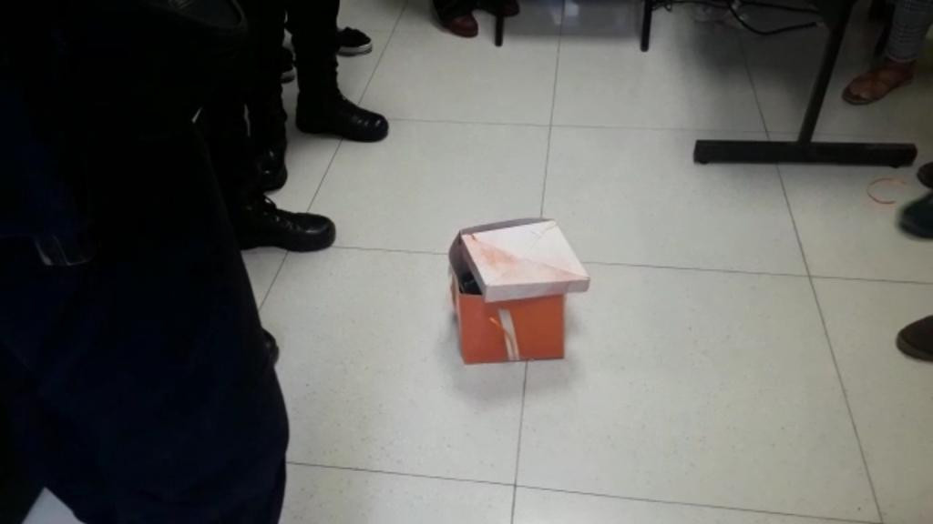 Animal muerto genera alarma entre empleados de la presidencia municipal