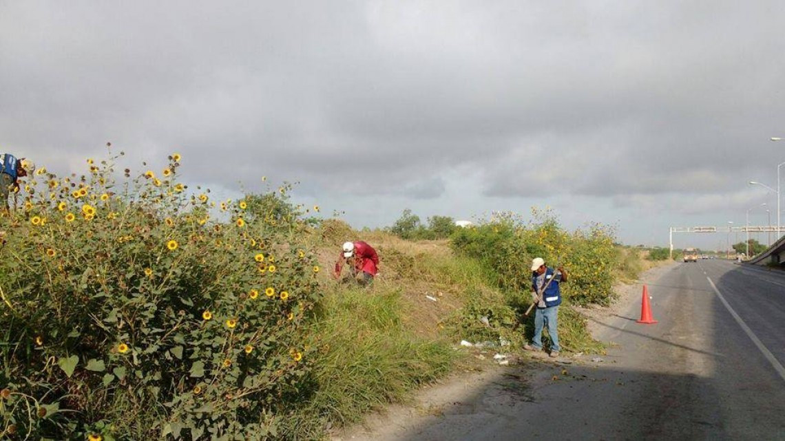 Realizan limpieza en principales zonas de la ciudad