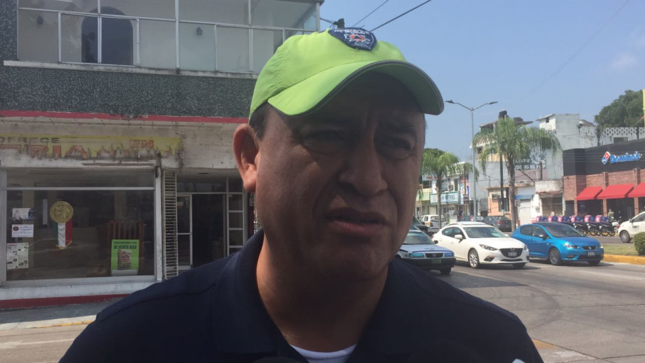 Podan árboles para evitar afectaciones a tendido eléctrico