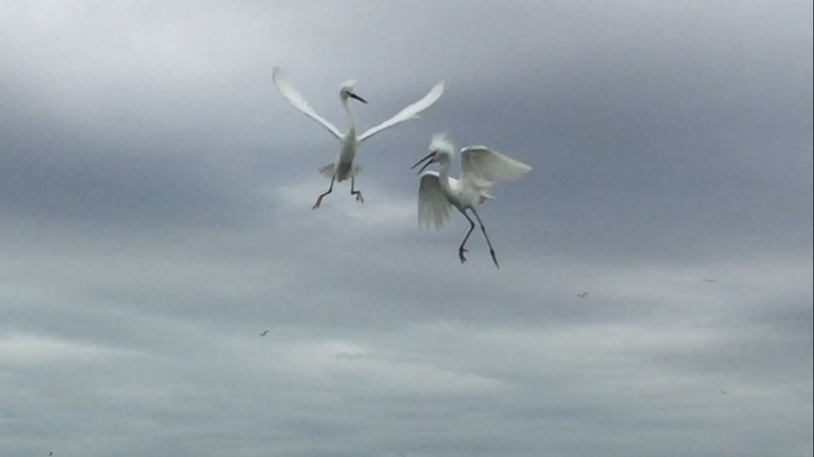Sector comercio listo para dar buena atención en temporada vacacional.