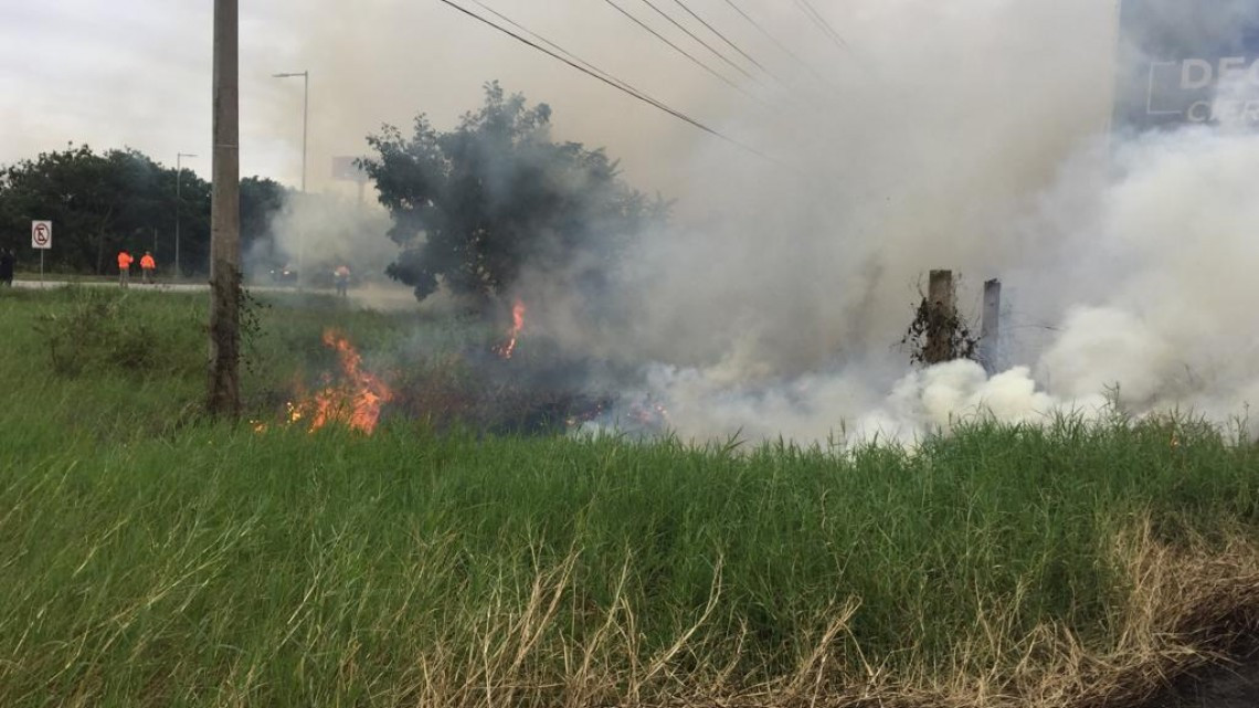 Fuertes vientos propagan incendio de pastizales en Altamira