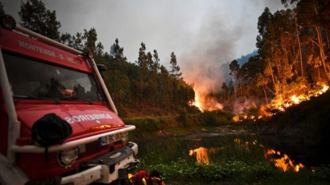 Van 62 muertos por incendio en Portugal