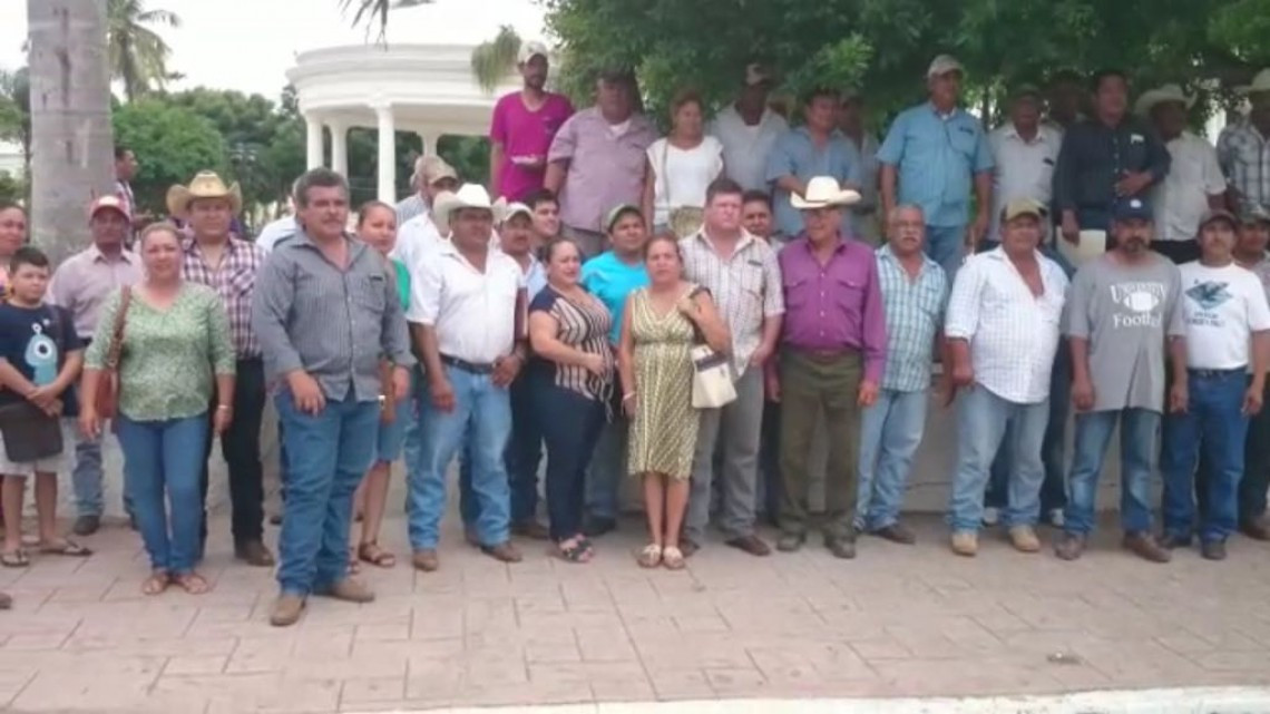 Analizan pago de incentivos a producción de oleaginosas