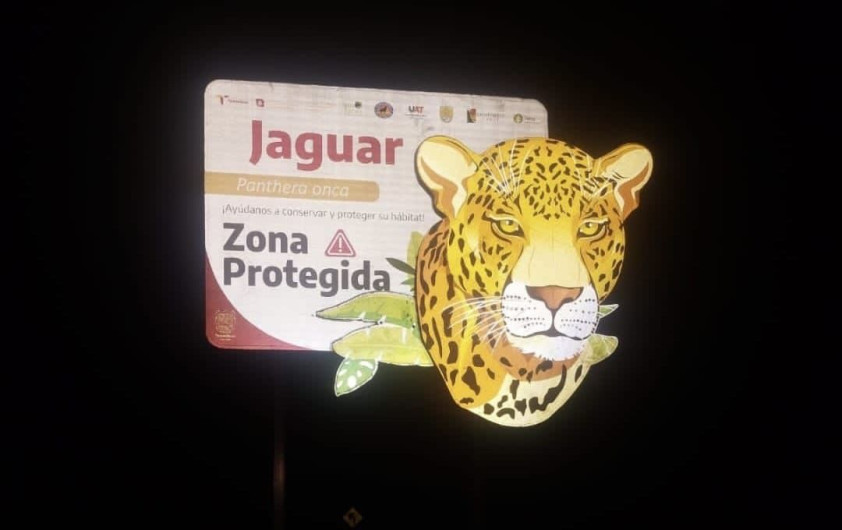 Coloca Comisión de Parques señalética para evitar atropellamientos de fauna