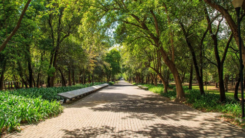 El mejor parque del mundo está en México, conócelo aquí