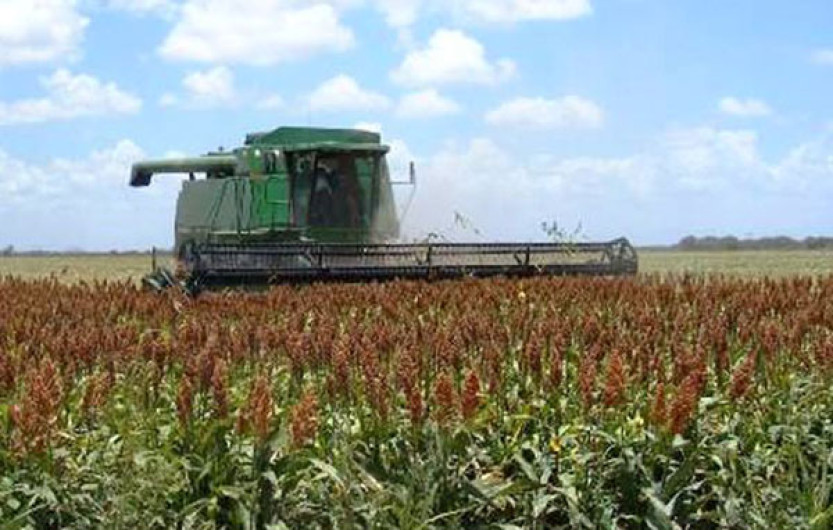 Agronegocios apoyará a productores de la agroindustria