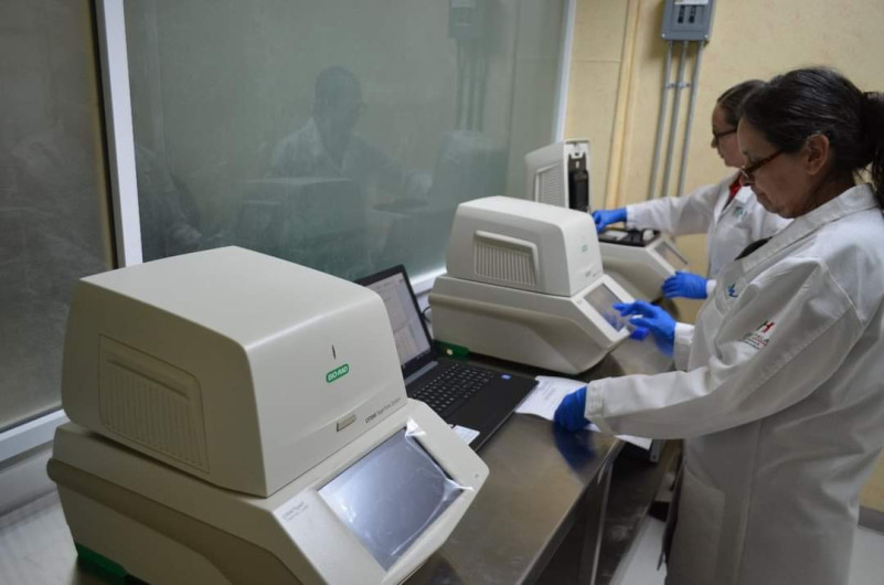 Tamaulipas registra 72 nuevos casos y 33 defunciones por COVID-19 