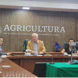 Secretario de Agricultura no da respuesta concreta a sorgueros de Tamaulipas 
