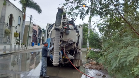 Limpieza, sondeo y acciones en Paseo de la Cañada
