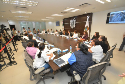 Descuentos del 8% y 100% y en pago del Impuesto Predial