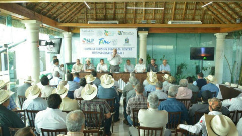 Primera Reunión Regional Contra el Huanglonbing es realizada