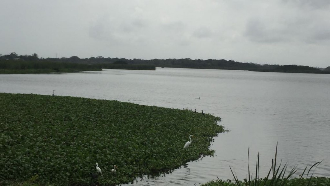 Serio problema de desechos urbanos cerca de sistemas lagunarios