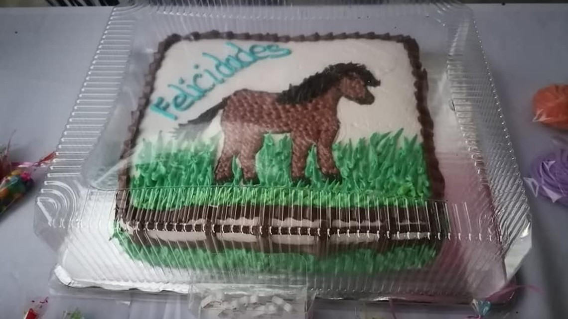 Hacen baby shower a una yegua en Yucatán 