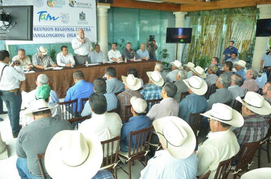 Primera Reunión Regional Contra el Huanglonbing es realizada