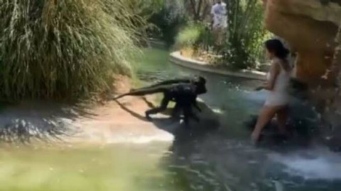 Joven alimenta a monos araña con ‘Cheetos’
