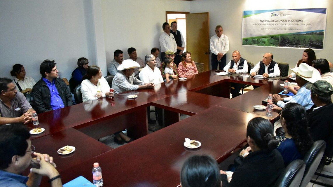 Destinan más de 2.1 MDP para fortalecer actividad forestal