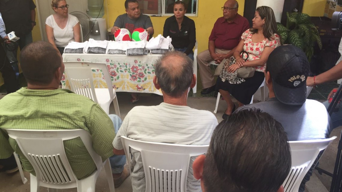 Realiza diputada entrega de apoyos