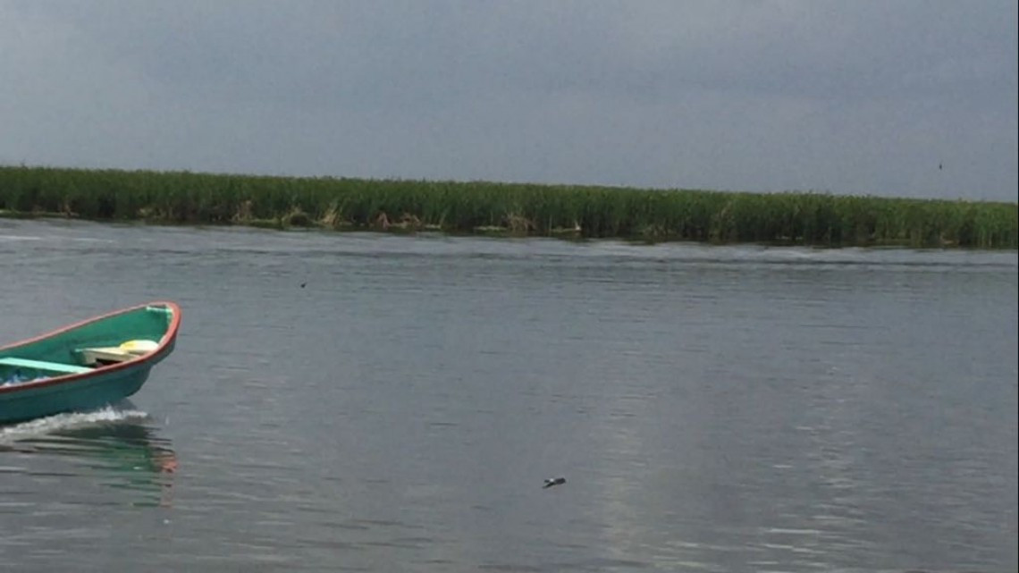 Necesario proyecto de dragado en laguna de Champayán