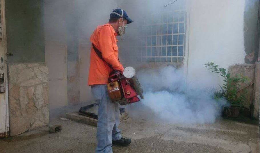 Sur de Tamaulipas con 12 casos de dengue de 40 que hay en el estado