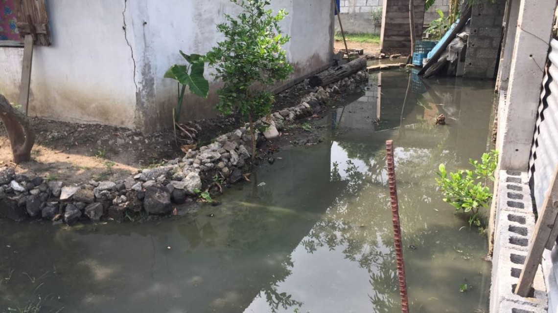 Brotes de aguas negras de más de ocho años en zonas bajas