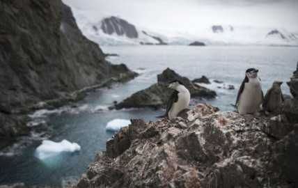 Bate Antártida su récord de calor 